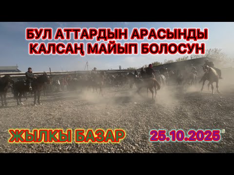 Видео: МАНАС ШААРЫ✅ ЖЫЛКЫ БАЗАР#жылкыбазат#атбазар#Чабан#манас атбазар