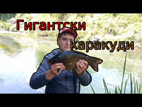 Видео: Разбих ги! Едри речни КАРАКУДИ в ЛЯТНАТА ЖЕГА! Риболов на ИЗТИЧАНЕ!Fishing for GIANT river CRUCIANS!