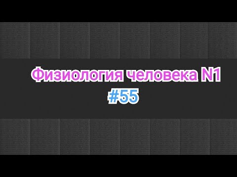 Видео: Физиология гемостаз - система свёртывания крови