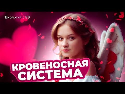 Видео: Кровеносная система человека. Серия углубленных лекций для ЕГЭ по биологии 2024