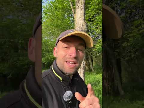 Видео: Весна зовёт : бросай «всё» и иди в поход 🏕️