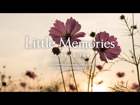 Видео: Маленькие воспоминания, колышущиеся на ветру l GRASS COTTON+