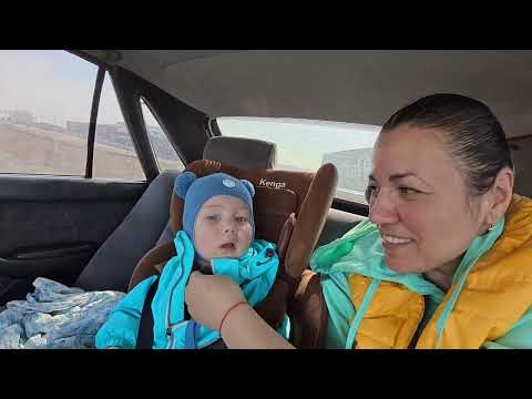 Видео: 14.04.2025 // #8 Семейный видеодневник : Купили курочек с птицефабрики