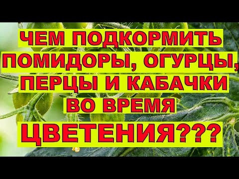 Видео: Рецепт СУПЕР!!!👍 Подкормка для 100% завязи томатов, перцев...