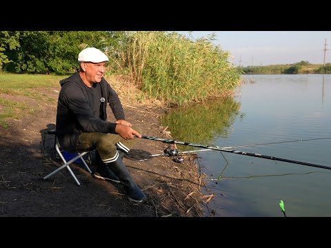 Видео: Ловлю Карася на Бабусини Пиріжки