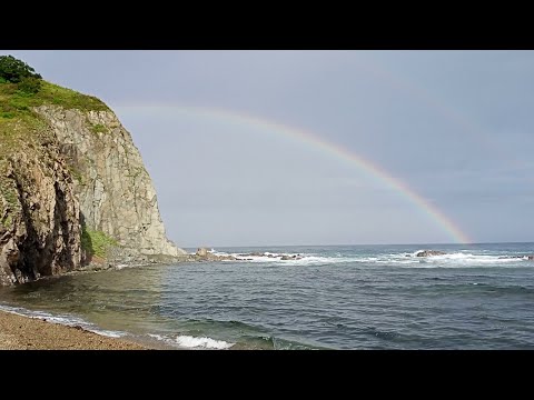 Видео: Дальнегорск август 2022 г