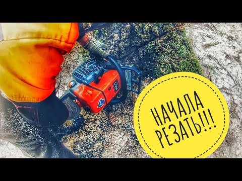 Видео: Заменили одну вещь и пила начала резать // Бензопила Holzfforma G366