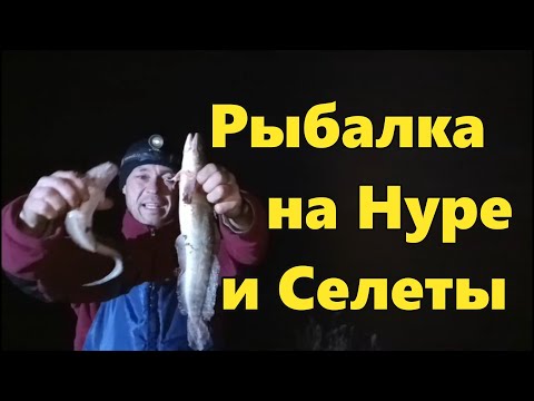 Видео: Рыбалка на Нуре и Селеты