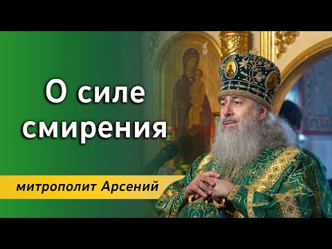 Видео: Проповедь митр. Арсения в день памяти преподобного Сергия Радонежского 8.10.23 г.