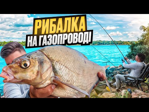Видео: КЛЮЄ ЯК НА ЧОРНИХ КАМЕНЯХ‼️ ШАХЕДИ не дають спати🤬ФІДЕР на Дніпрі