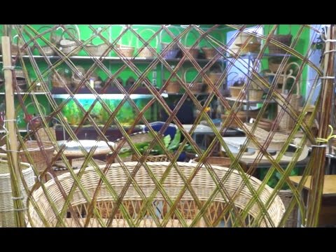 Видео: Как сделать живую изгородь из ивы?