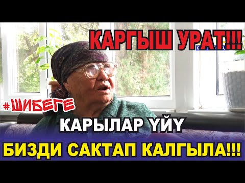 Видео: КАРЫЛАР ҮЙҮН КИМДЕР ТОНОДУ #ШИБЕГЕ
