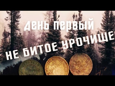 Видео: КОПАЕМ ЦАРСКИЕ МОНЕТЫ/НЕ БИТОЕ УРОЧИЩЕ/ПОИСК КЛАДА И СТАРИНЫ/ВЕСЕННЯЯ РАЗВЕДКА/ПЕРМСКИЙ КРАЙ