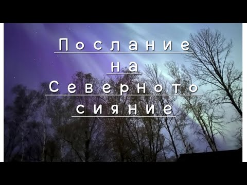 Видео: Обаждане от Рая 😇🫶👋👍
