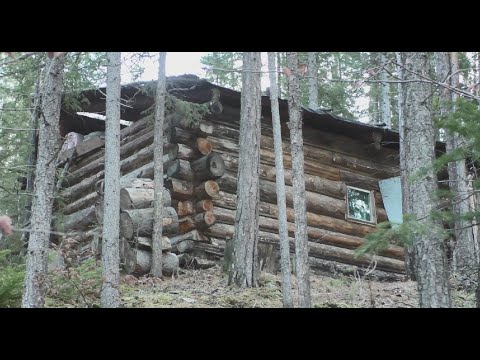 Видео: ДОБИРАЮСЬ ДО ИЗБЫ. ЗИМОВЕЙНЫЕ ДЕЛА И ТАЁЖНАЯ БЫТОВУХА. ОХОТА В НОВЫХ МЕСТАХ. ПОТЕРЯЛСЯ В НОЧИ!