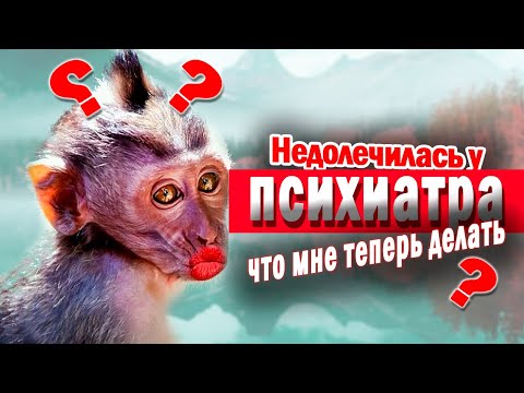 Видео: 11 Макак не хотят лечиться, а замуж хотят..