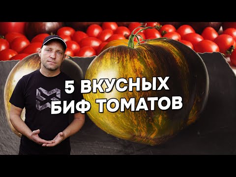 Видео: ТОМАТЫ, 5 ВКУСНЫХ САЛАТНЫХ СОРТОВ!
