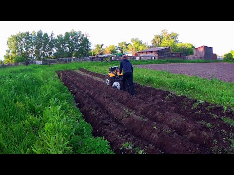 Видео: Испытание дисковых окучников и разблокираторов мотоблока