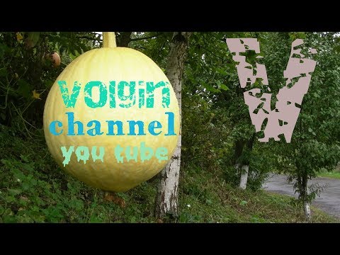 Видео: СНАСТЬ для ловли на корочку ХЛЕБА / FISHING