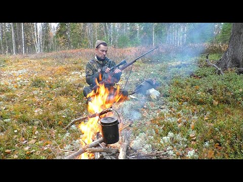 Видео: ПОХОД С МЕЛКАШКОЙ В ТАЙГУ / ЧАЙ У КОСТРА / ОСЕННЯЯ ОХОТА НА БОРОВУЮ ДИЧЬ / ЖИЗНЬ В ТАЁЖНЫХ УСЛОВИЯХ.