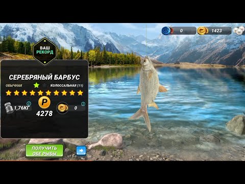 Видео: Гималаи Новая Рыба Серебрянный Барбус!!!Игровой процесс, Fishing clash, фишинг клеш