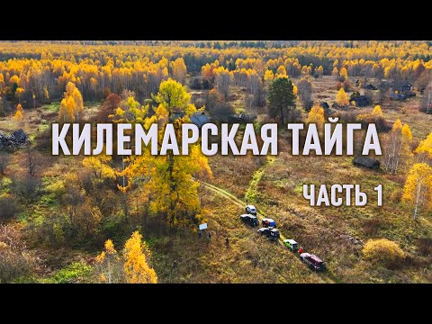Видео: Марийская СВЯЩЕННАЯ лиственница. РАТНАЯ тропа Ивана Грозного. ЮРОНГА.  КИЛЕМАРСКАЯ ТАЙГА 2025.