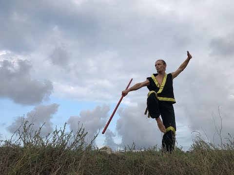 Видео: Комплекс упражнений с шестом № 4. Вертикальные вращения одной рукой.