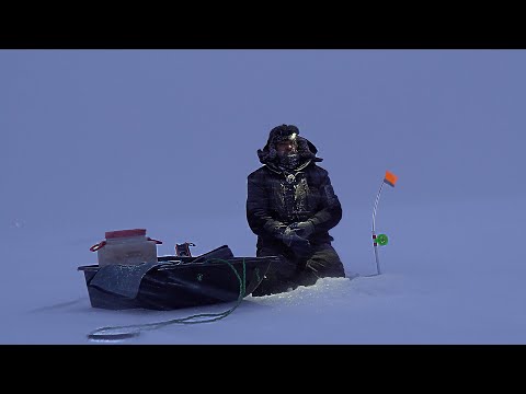 Видео: Ловим судака в Темиртау в Буран!