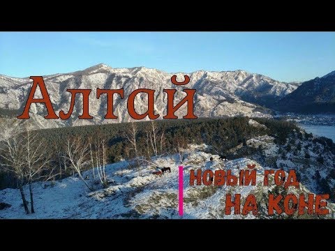 Видео: Алтай. Новый год. Конные приключения