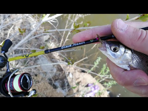 Видео: ГОДНО! Black Adder BA562XUL-S-20 до 1,2гр - знакомимся с недорогой моделью спиннинга для мормышинга