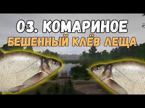 Видео: ЛЕЩ СОШЁЛ С УМА/ОЗ. КОМАРИНОЕ ● Русская Рыбалка 4 | РР4