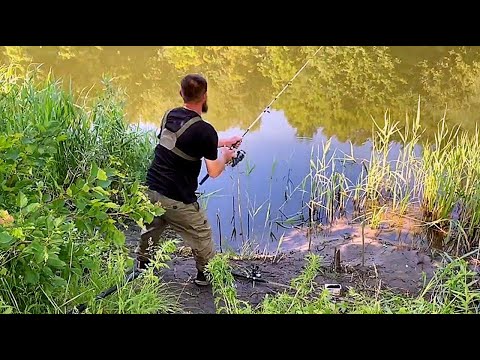 Видео: НАЧАЛОСЬ... ОСЕННИЙ ЖОР РЫБА ОЗВЕРЕЛА КЛЮЁТ НА КАЖДОМ ЗАБРОСЕ. Рыбалка как во сне.