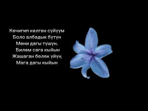 Видео: Сагыныч Нурданбек уулу "Жашырган Махабатым" текст песни караоке