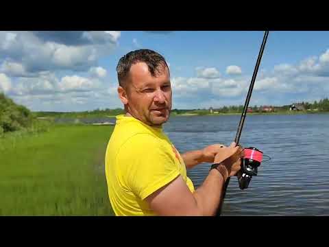 Видео: Тест карпового удилища Viva Elegant Carp 13 футов 3,75 lb #карпфишинг #carpfishing #поймалотпусти