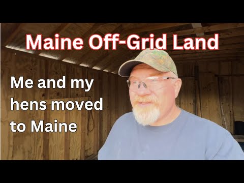 Видео: Мы с курами переехали в Мэн.