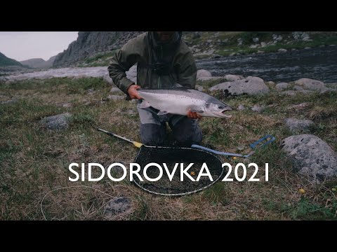 Видео: Ловля сёмги нахлыстом на Кольском 2021. Река Сидоровка. Fly fishing for salmon on the Kola Peninsula