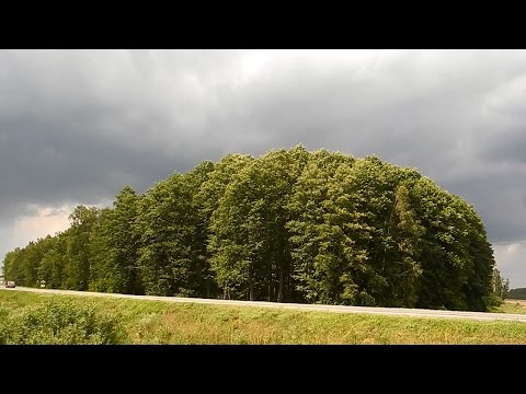 Видео: Установка железобетонного забора ч.9