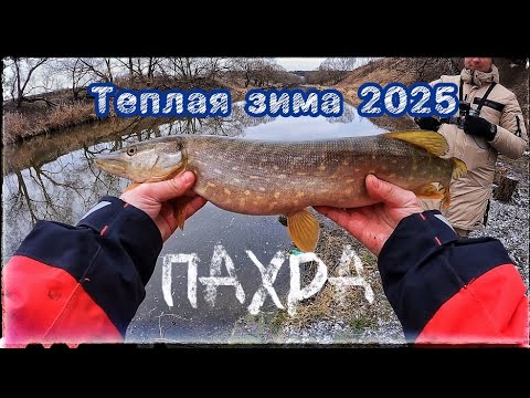 Видео: Микро джиг в Подольске ! Теплая зима на реке Пахра !