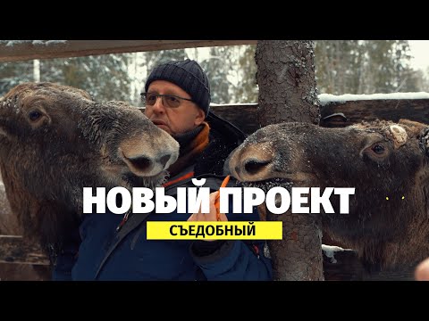 Видео: НОВЫЙ ПРОЕКТ
