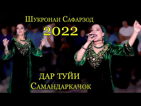 Видео: Шукронаи Сафарзод базми туёна 2022 дар туйи Самандаркачок мофики талаб