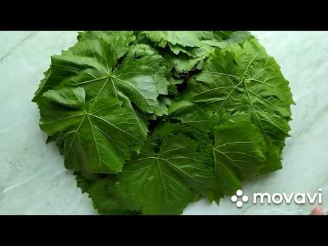 Видео: САМЫЙ ПРОСТОЙ И БЫСТРЫЙ СПОСОБ,КАК СОХРАНИТЬ ВИНОГРАДНЫЕ ЛИСТЬЯ НА ЗИМУ/ԽԱՂՈՂԻ ՏԵՐԵՎՆԵՐԻ ՊԱՀՊԱՆՈՒՄԸ