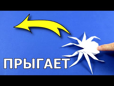 Видео: Как сделать прыгающего паука из бумаги 🕷 Оригами паук