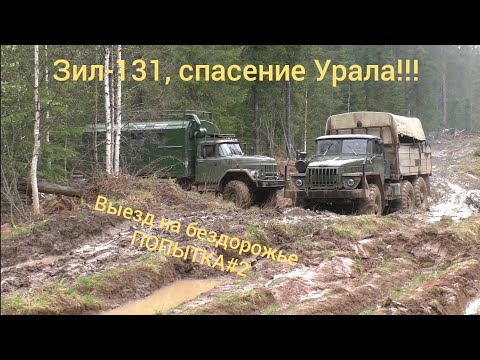 Видео: Зил-131 и Урал на бездорожье!!! Спасение Урала!!! Попытка#2 #труднодоступныйурал#бездорожье#зил#урал