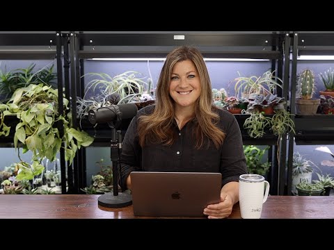 Видео: Как мыть розы без перчаток? // Можно ли передержать железо? // Обзор 🌿