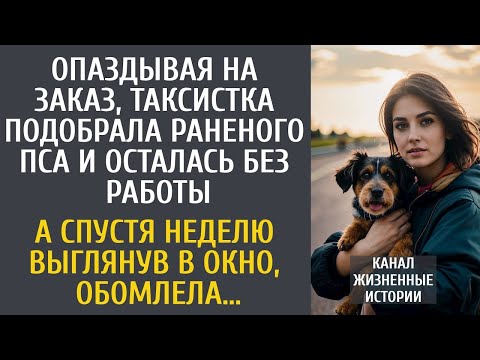 Видео: Опаздывая, таксистка спасла пса и осталась без работы… А через неделю выглянув в окно, обомлела…