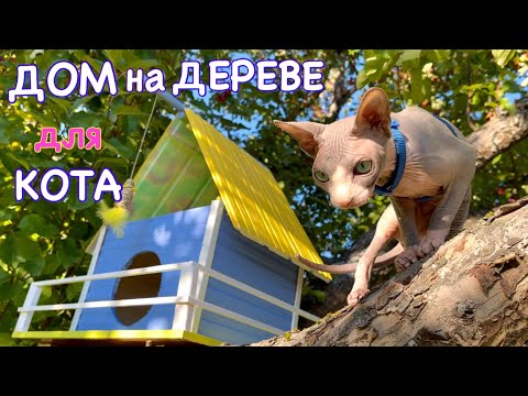 Видео: Построили ДОМ из ДОСОК на ДЕРЕВЕ для ЛЫСОГО Кота😻 Кот Миллион