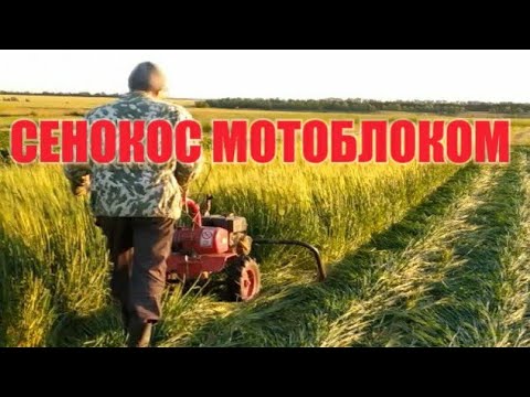 Видео: СЕНОКОС И МОТОБЛОК С РОТОРНОЙ КОСИЛКОЙ "ЗАРЯ"