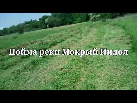 Видео: Сенокос 2024 продолжается!