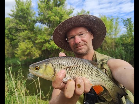 Видео: Степь и Солнце в плавниках!!!... :) Часть 4