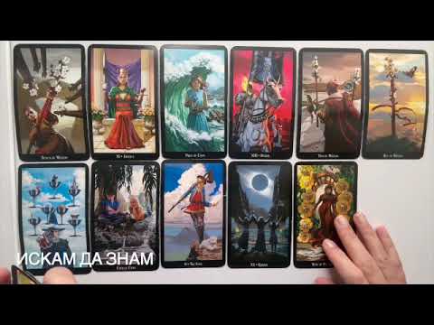 Видео: Кой ви избира и какво мислите #tarot #таро #fortunetelling #тарогадание #картитаро